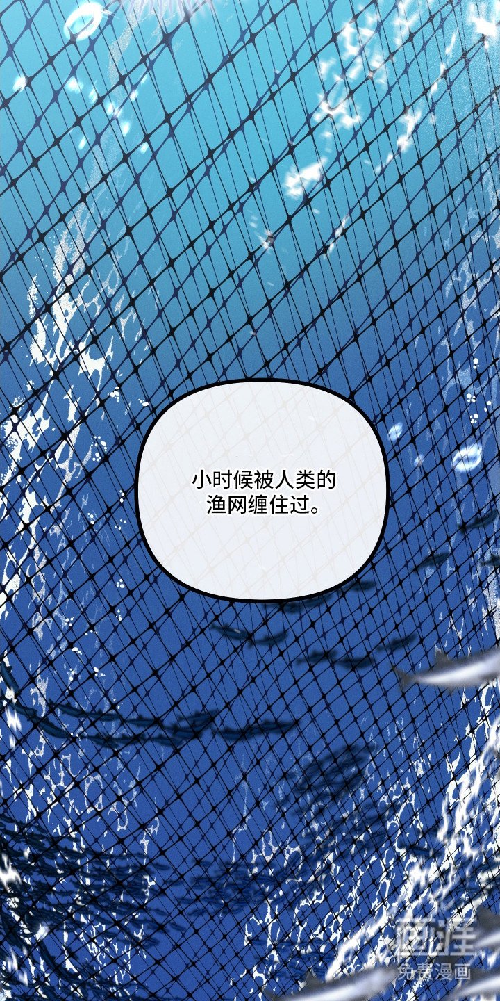 第12章：好感