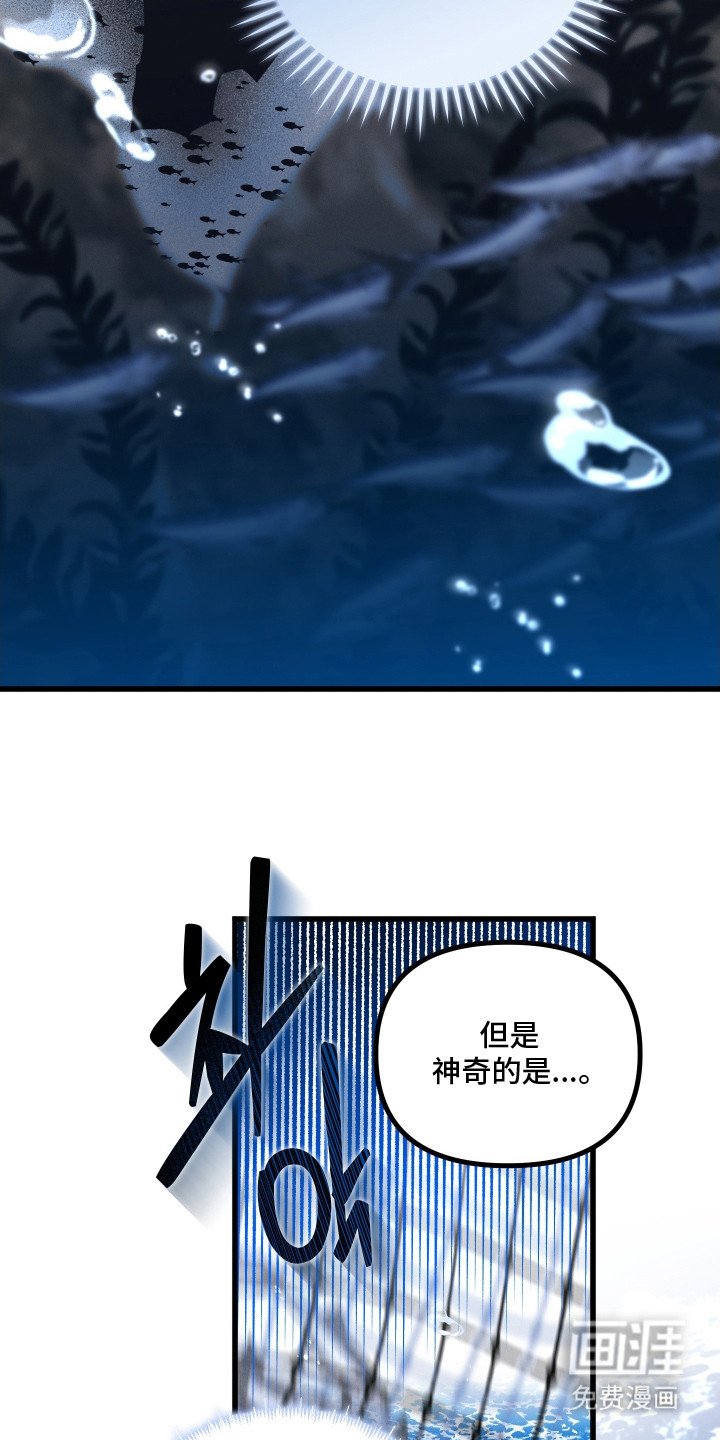 第12章：好感