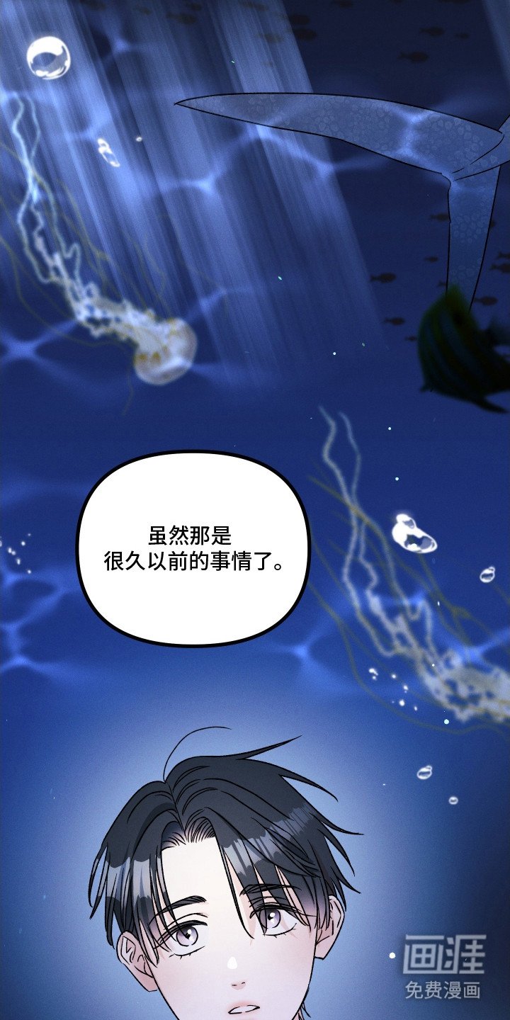 第12章：好感