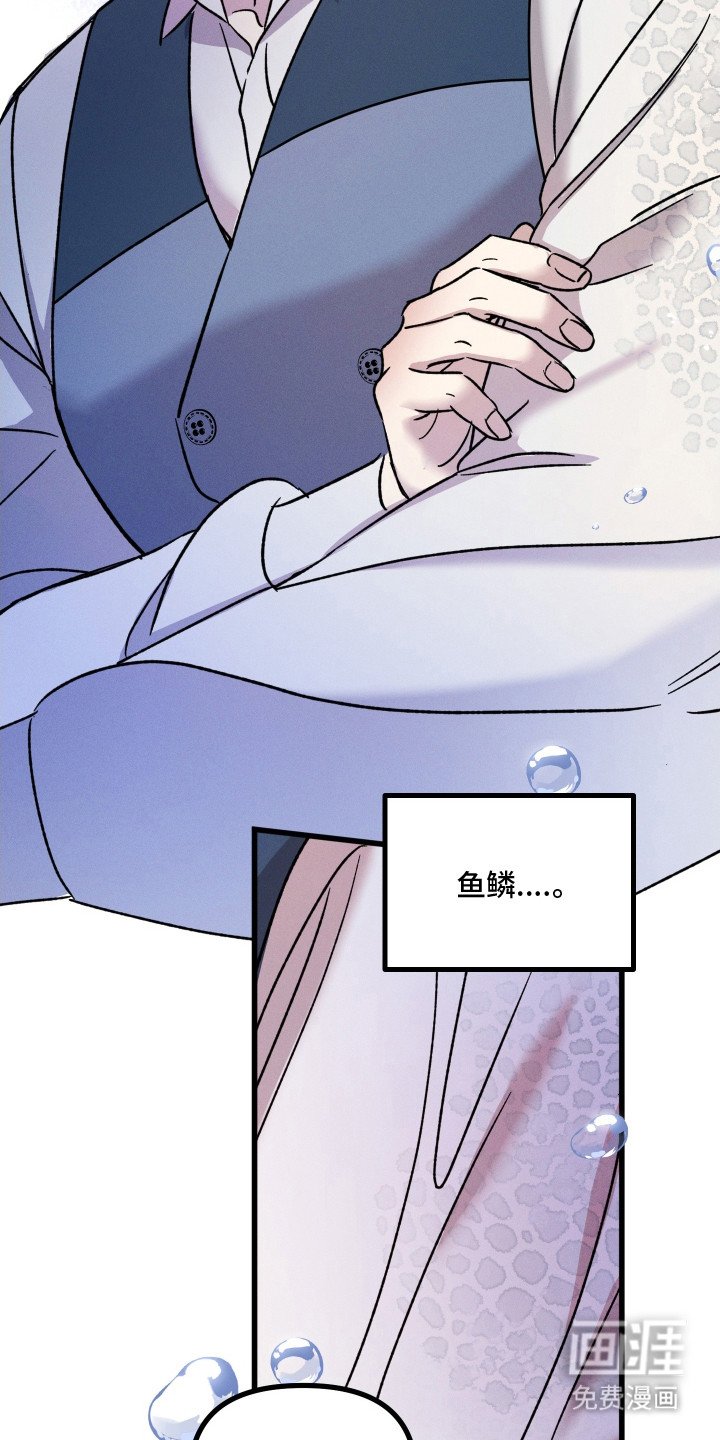 第18章：鱼鳞