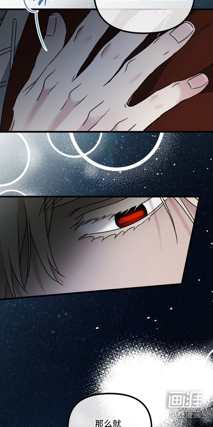 第19章：错觉