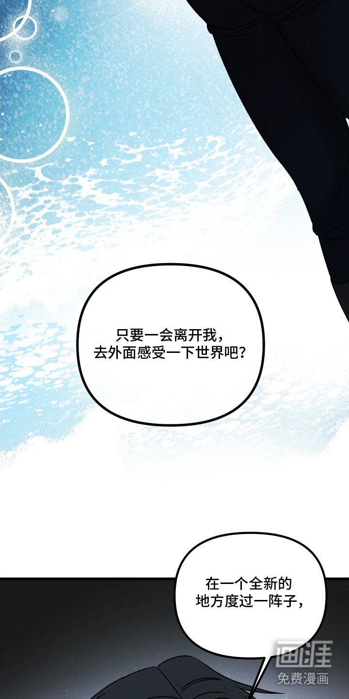 第19章：错觉