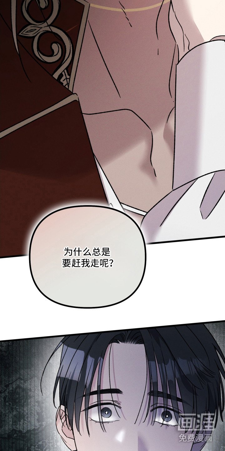 第19章：错觉