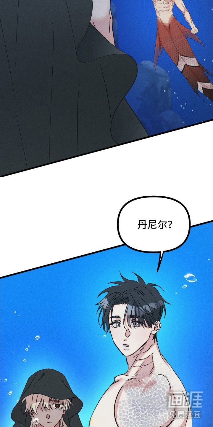 第2章：弟弟一般