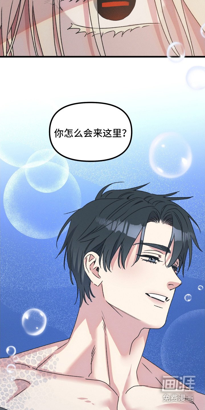 第2章：弟弟一般