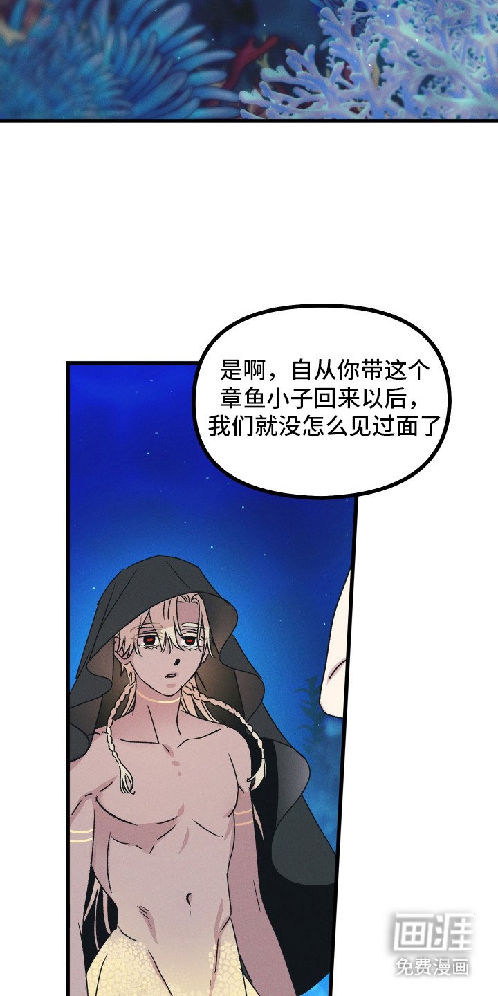 第2章：弟弟一般