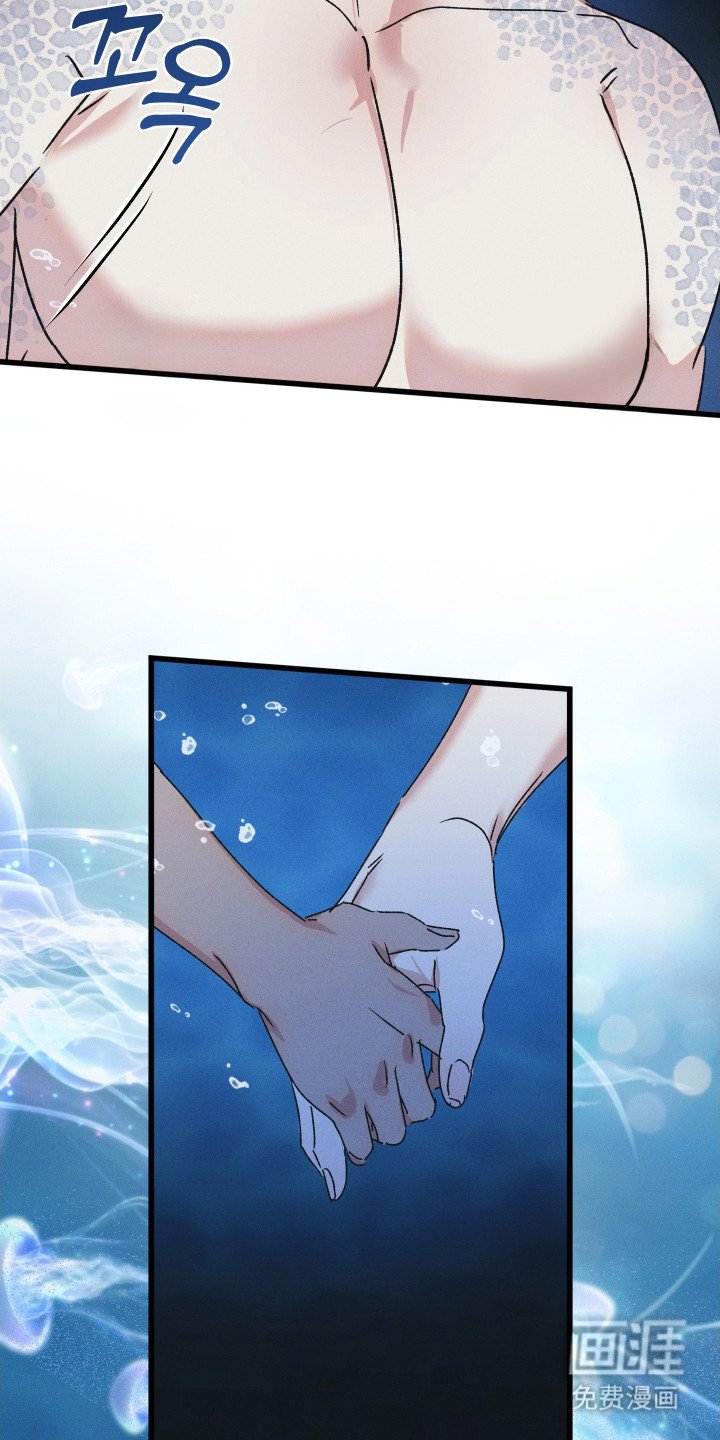 第2章：弟弟一般