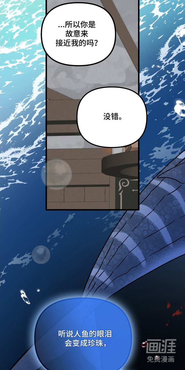 第22章：诓骗