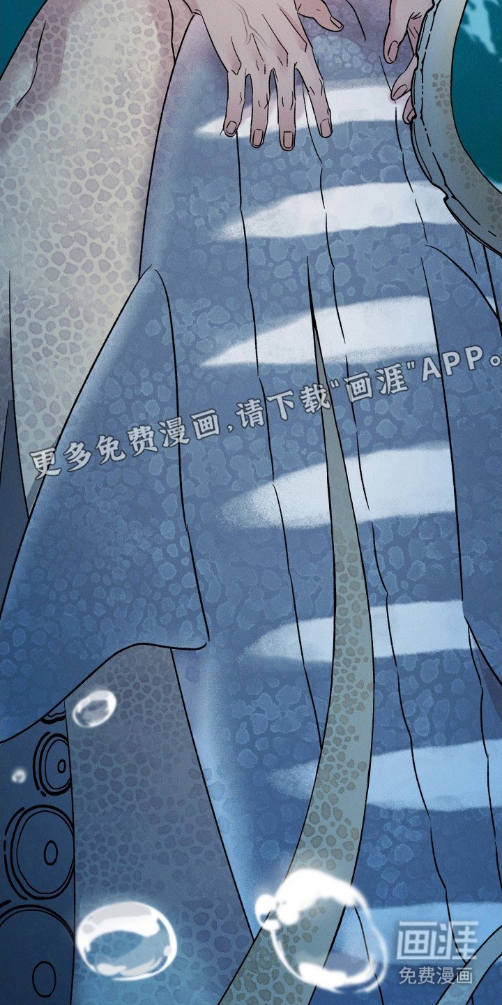 第27章：唯一的愿望
