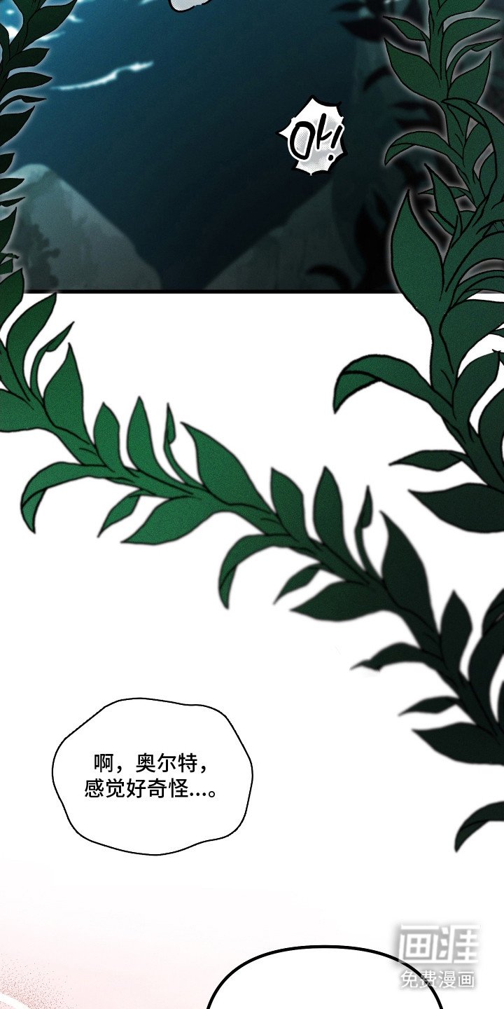 第27章：唯一的愿望
