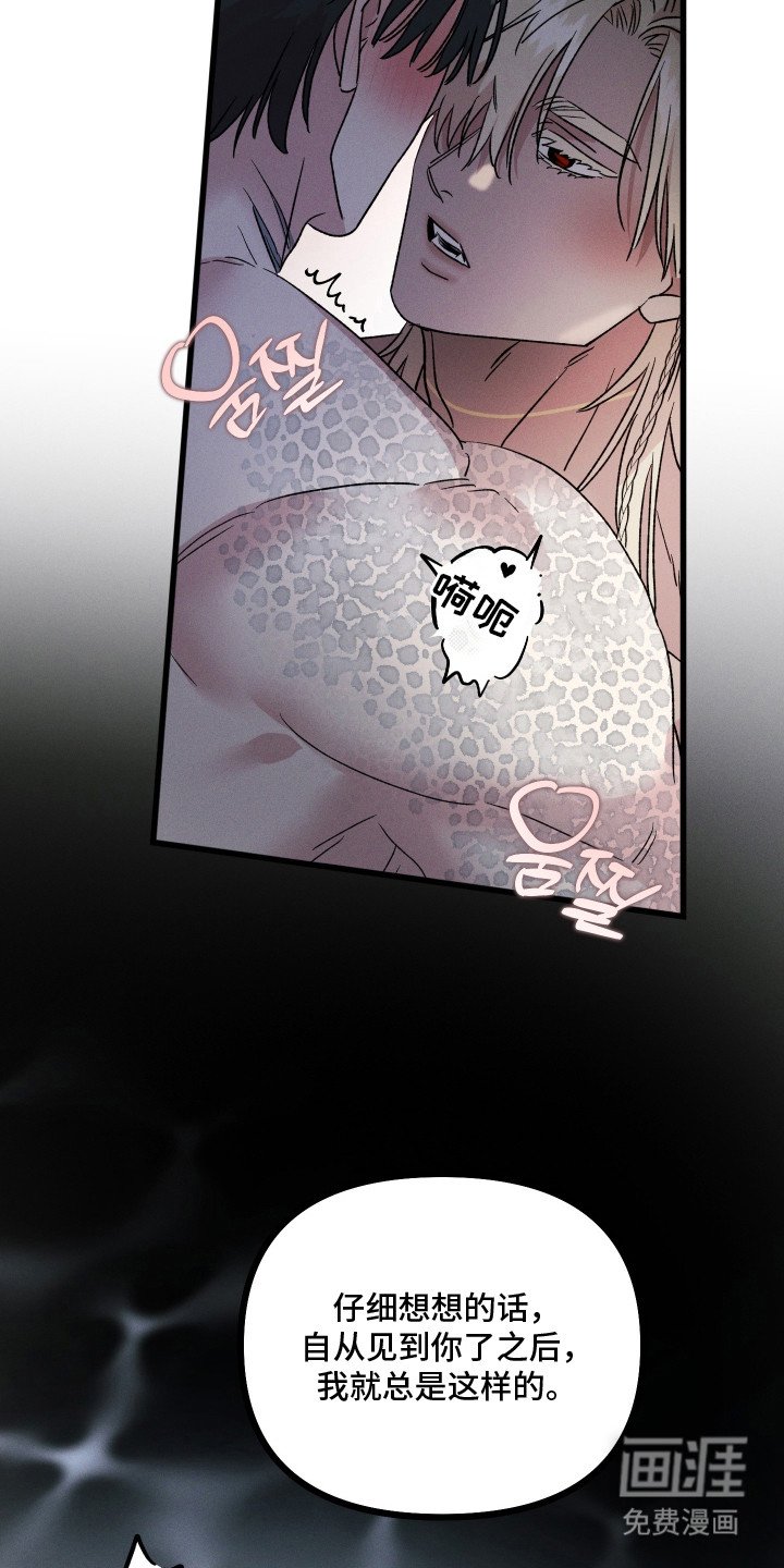 第27章：唯一的愿望