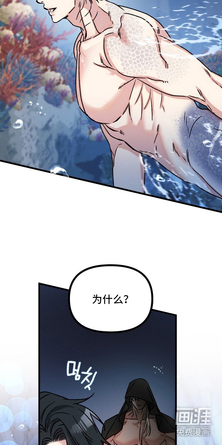 第6章：想法
