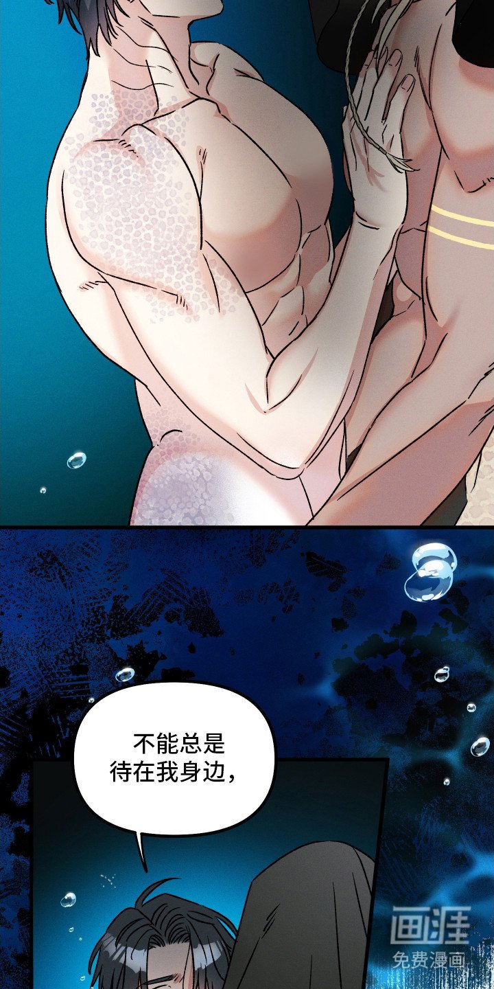 第6章：想法