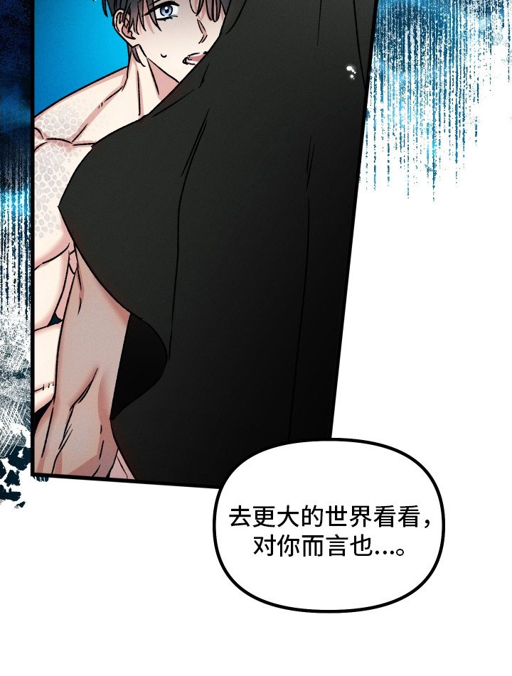 第6章：想法