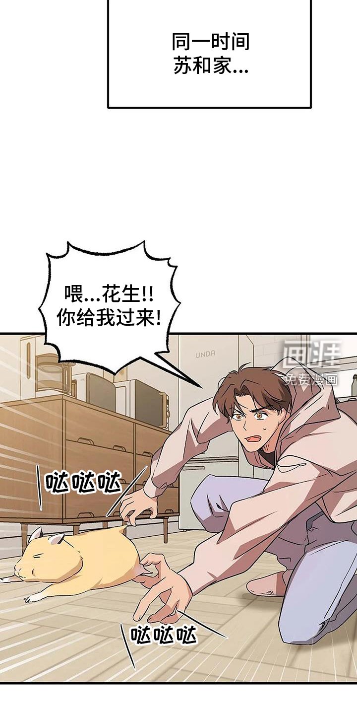 第15章：上门