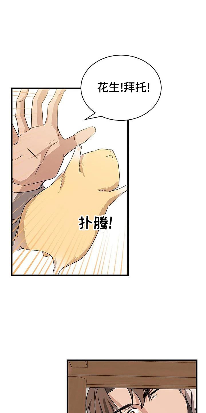 第15章：上门