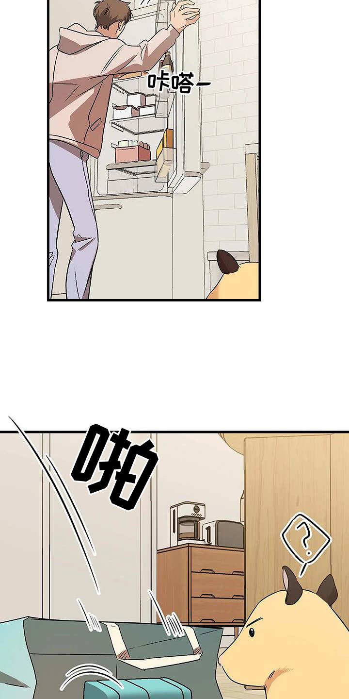 第16章：准备