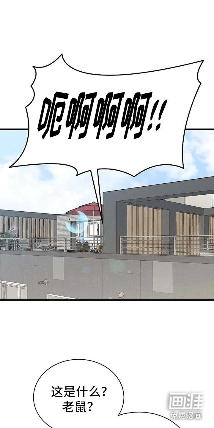 第6章：回忆