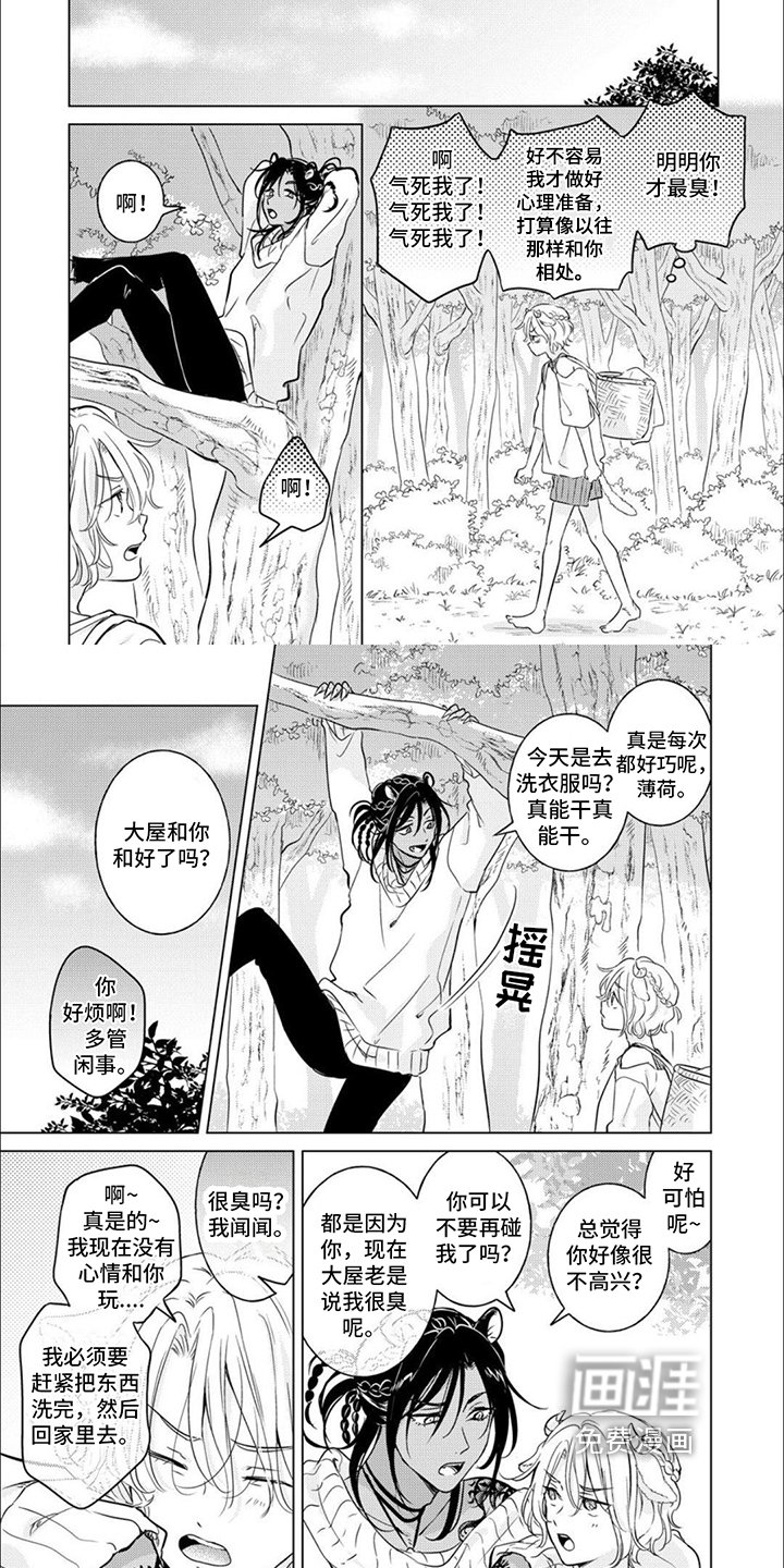 第11章：表里不一