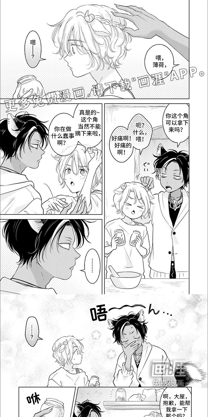 第21章：【番外】原谅你了