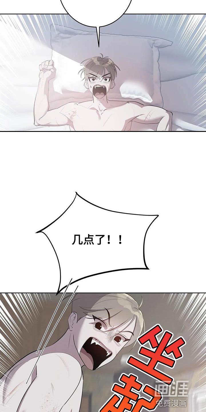 第16章：你到底是什么？
