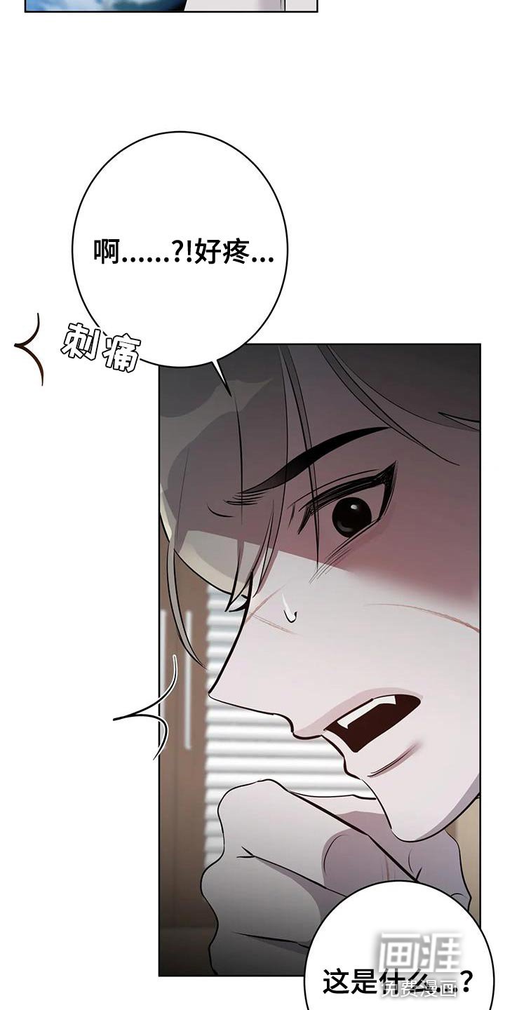 第16章：你到底是什么？