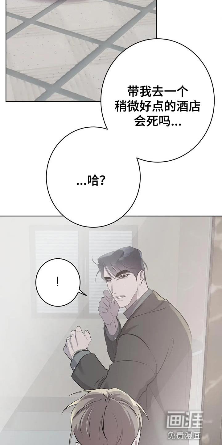 第16章：你到底是什么？