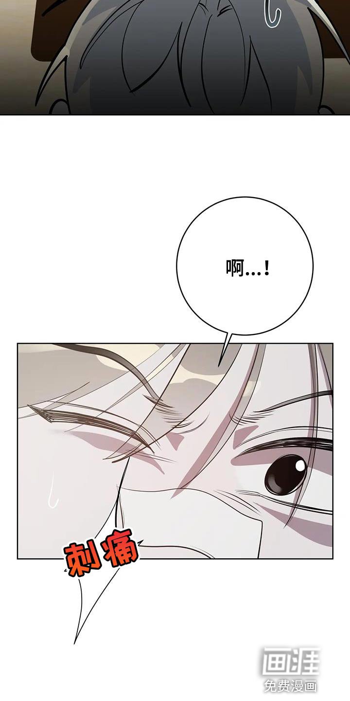 第16章：你到底是什么？