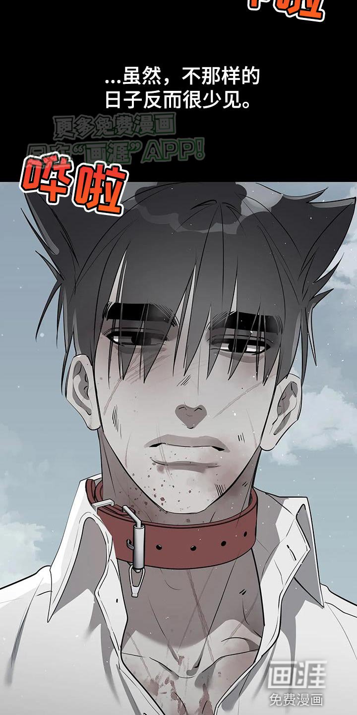 第23章：熟悉