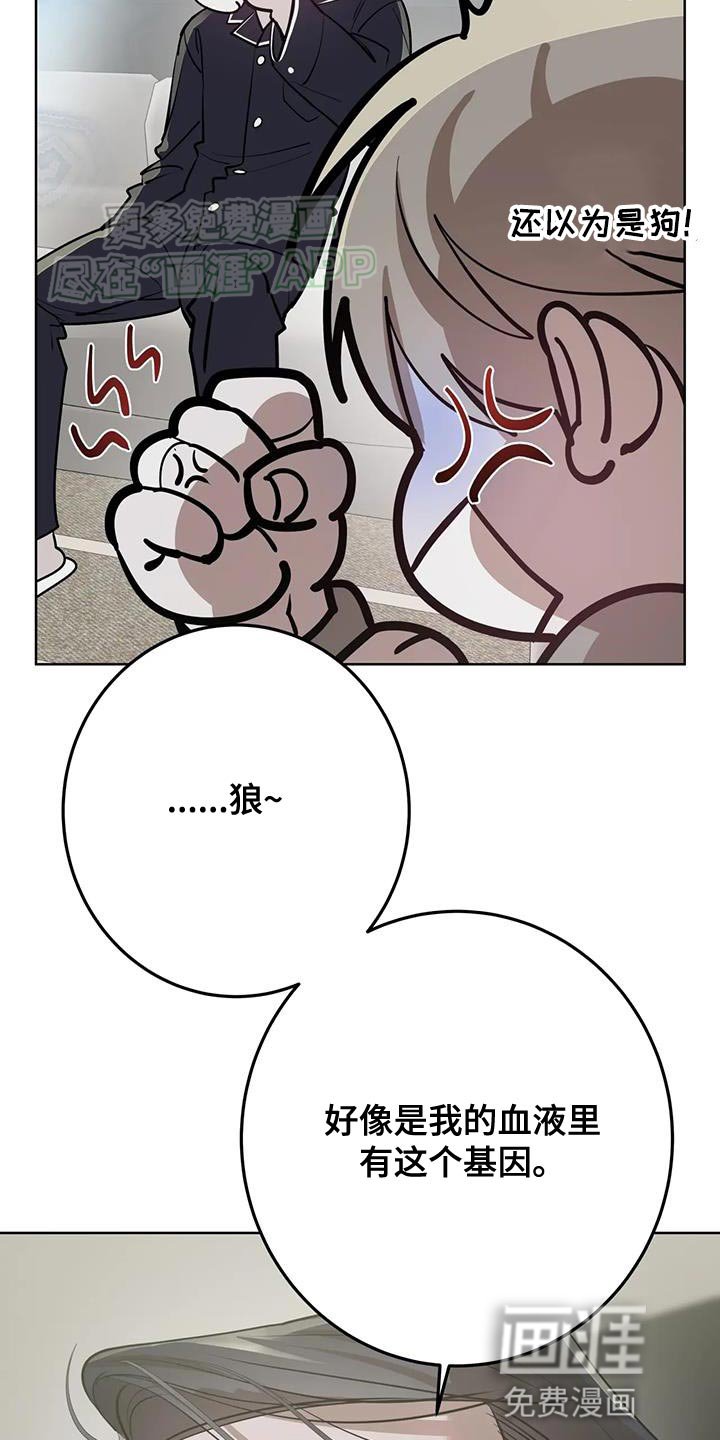 第31章：死的觉悟