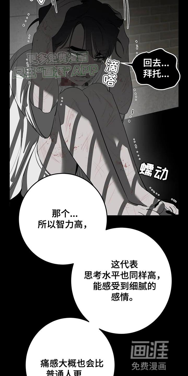 第32章：故事到此为止