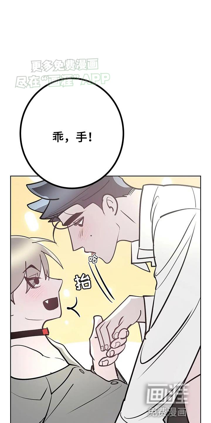 第34章：集中于我
