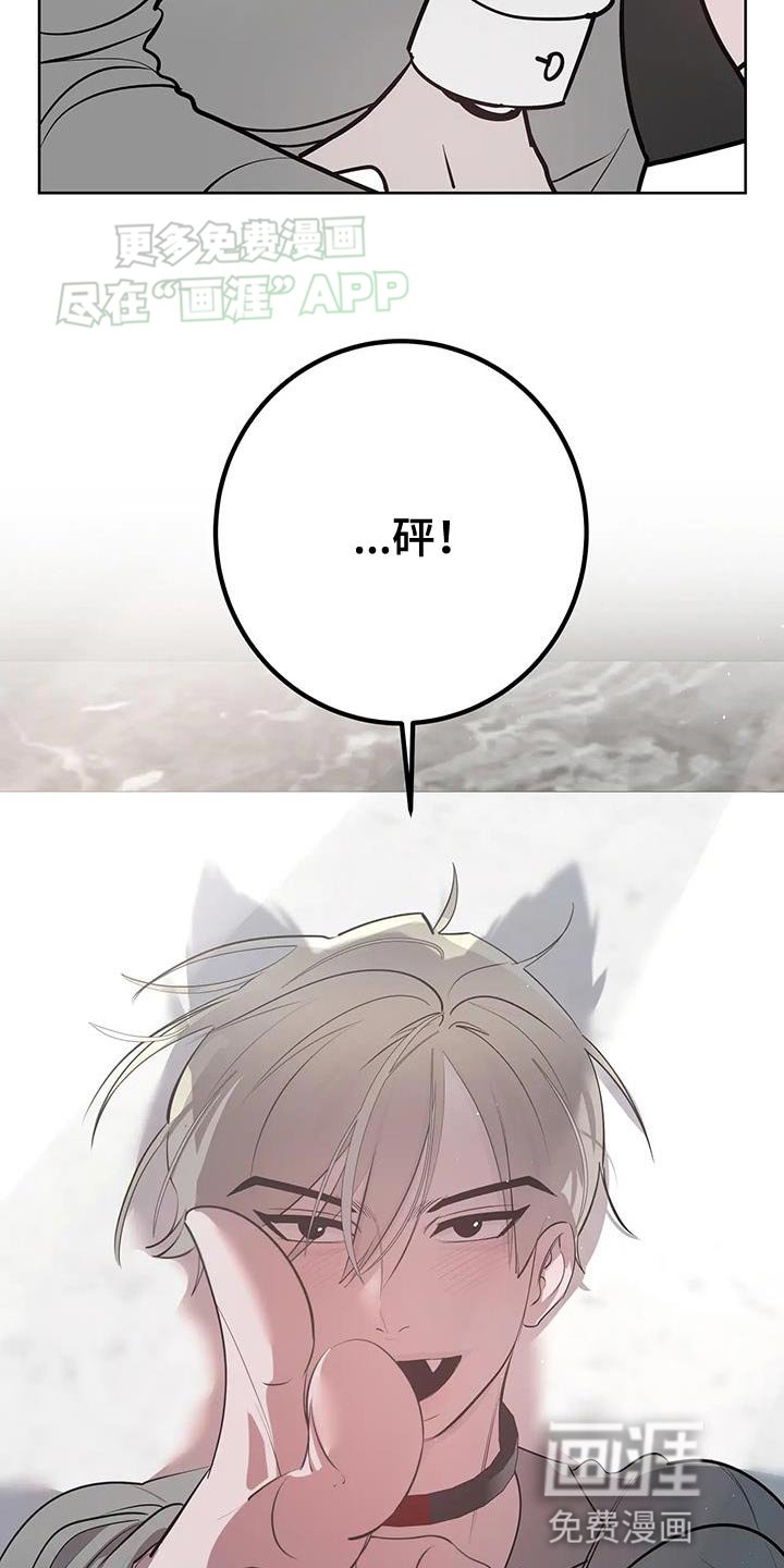 第34章：集中于我