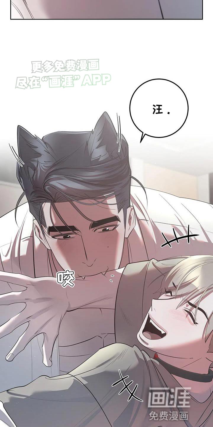 第34章：集中于我