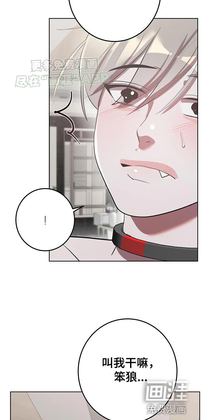 第34章：集中于我