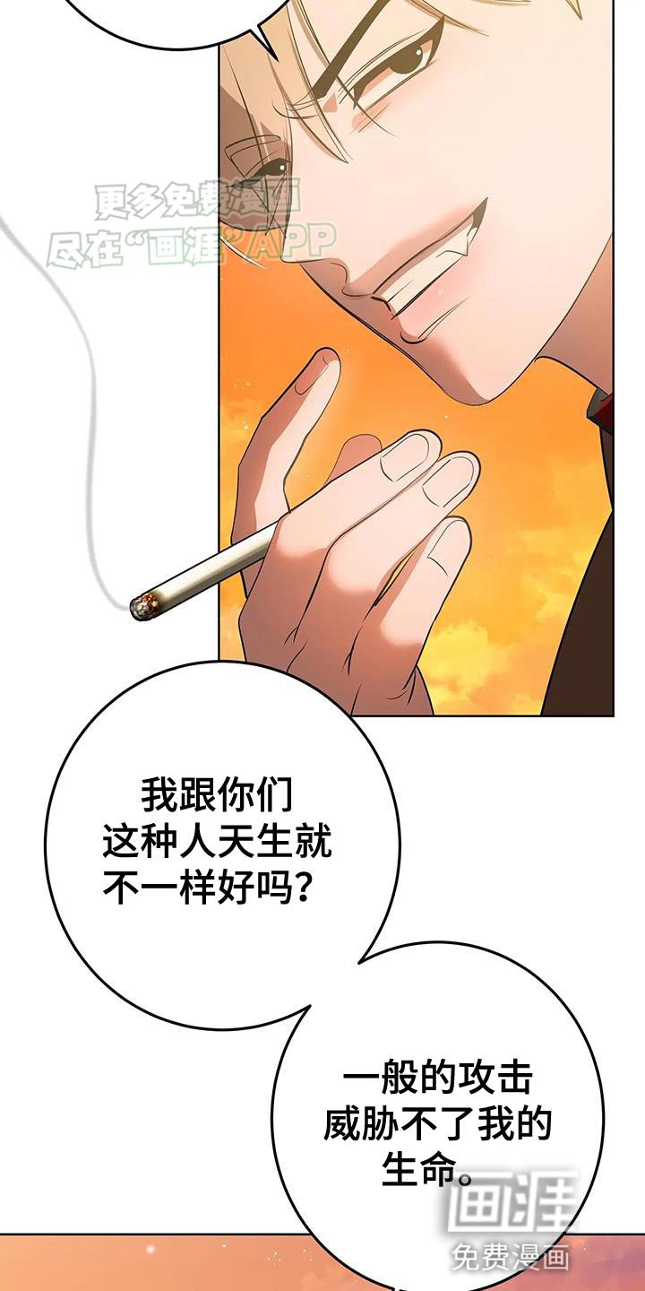 第37章：那就努力吧