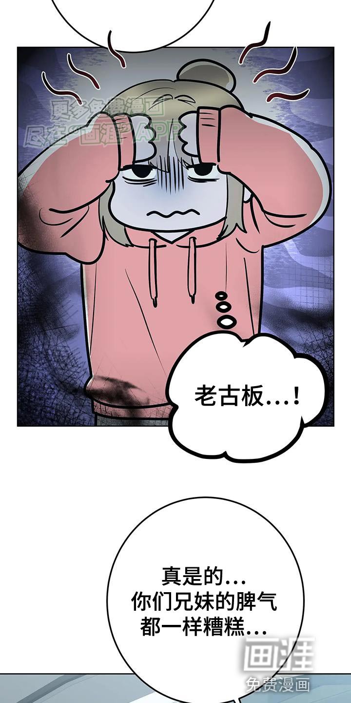 第38章：仔细调查