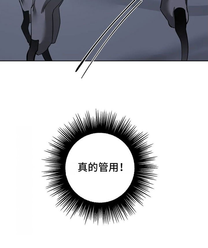 第4章：命令