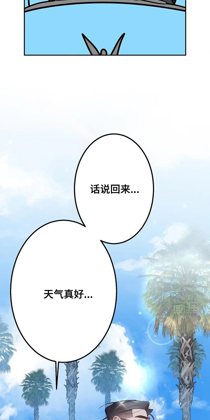 第42章：期待吧