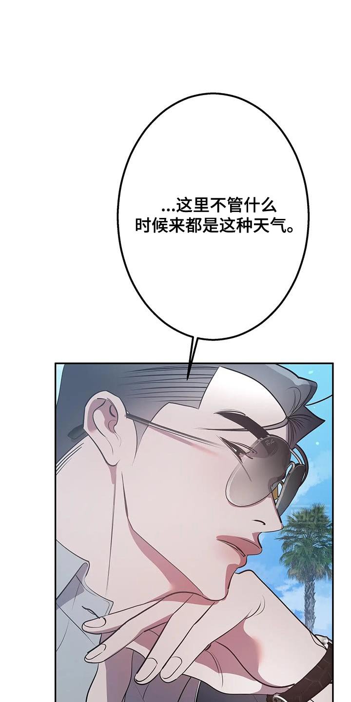 第42章：期待吧