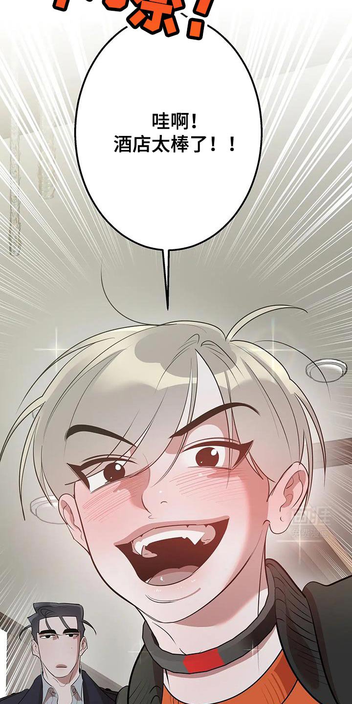 第42章：期待吧
