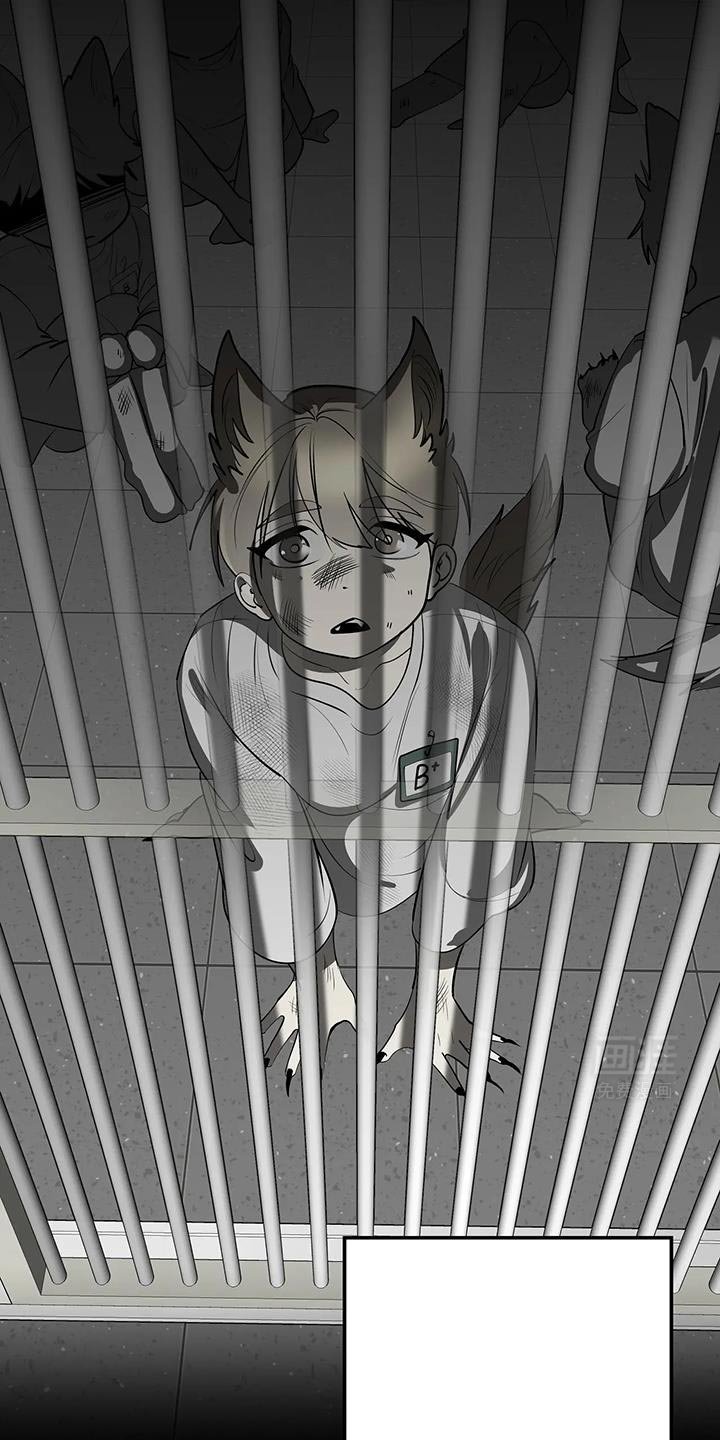 第42章：期待吧