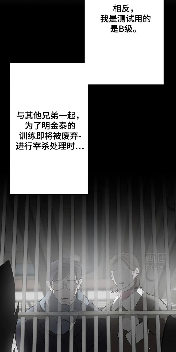 第42章：期待吧