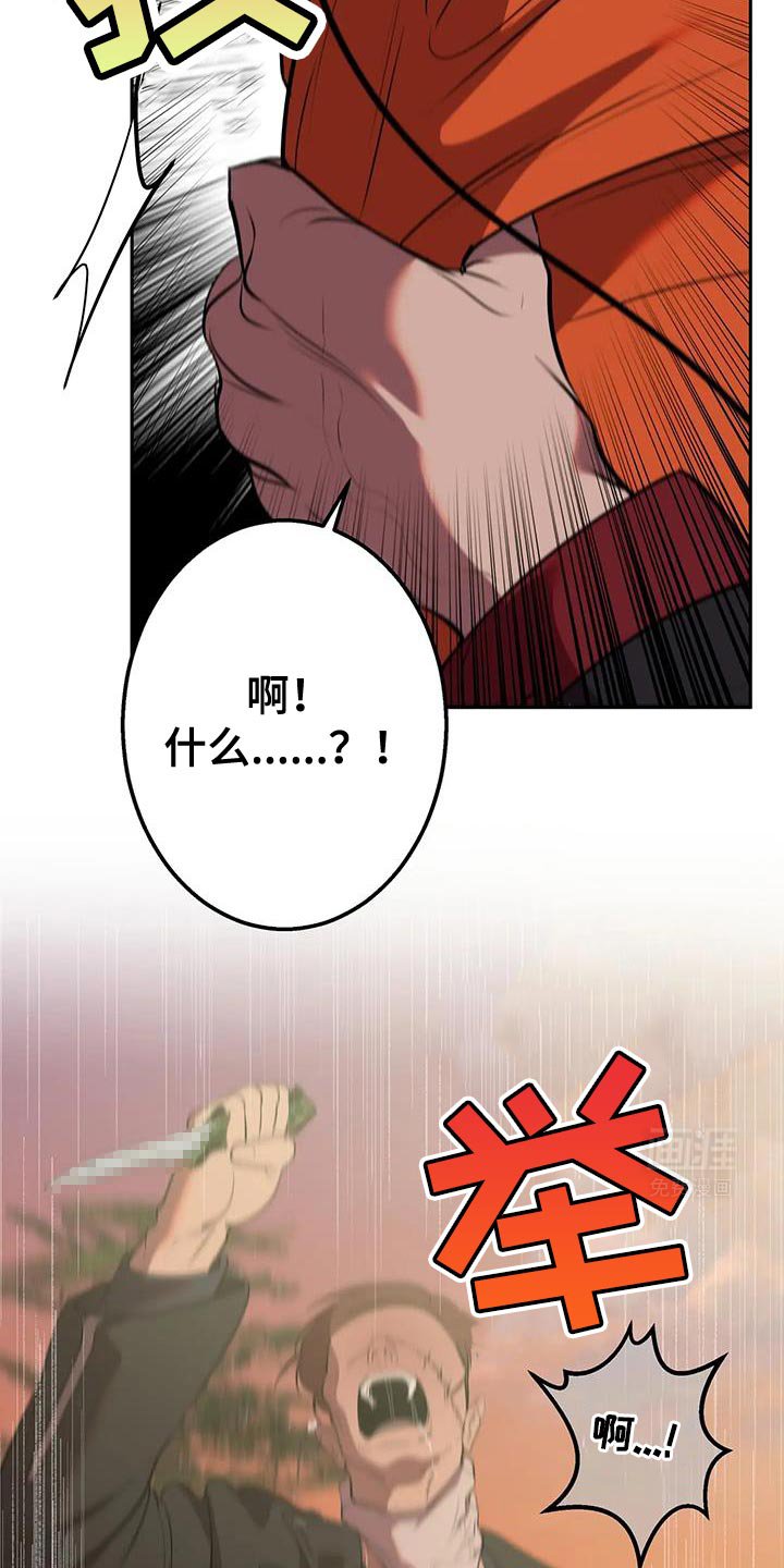 第47章：刺杀