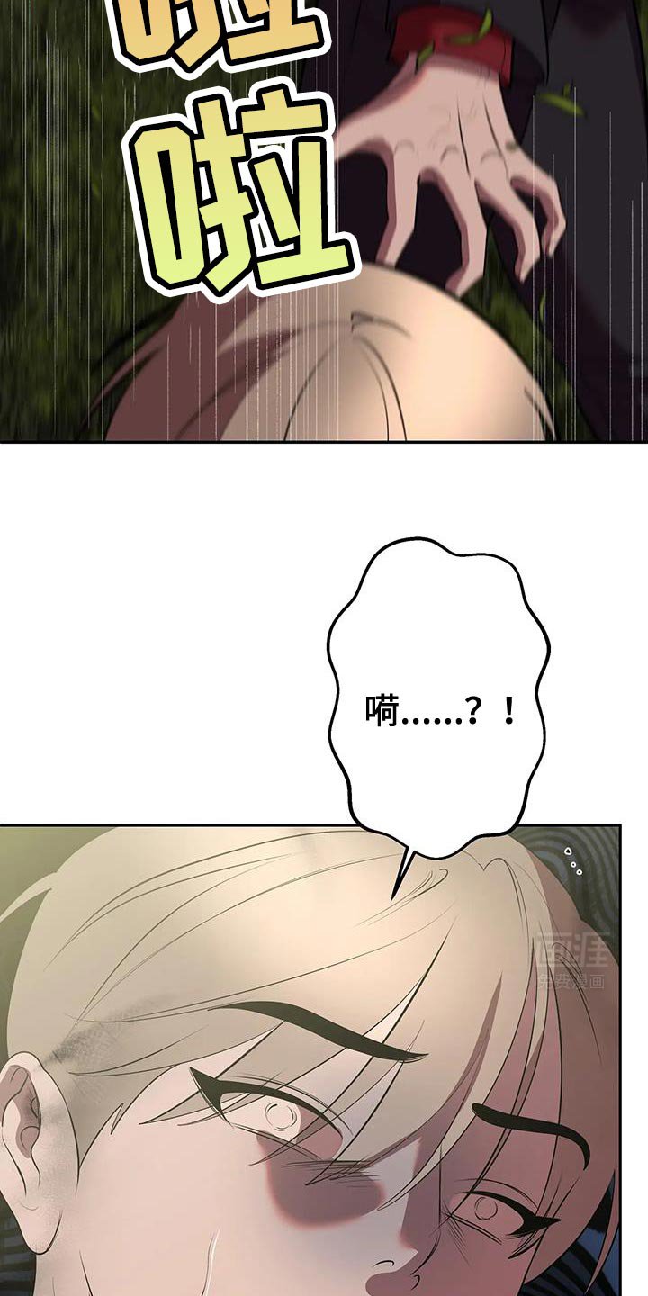 第47章：刺杀