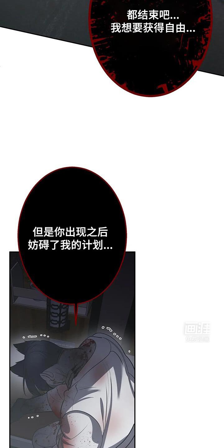 第51章：等一下