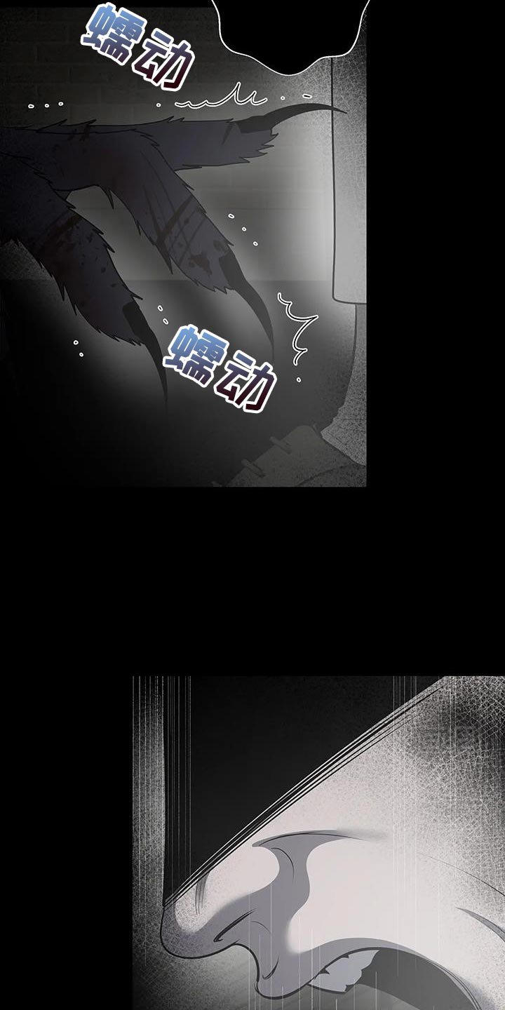 第52章：现在又多了一个
