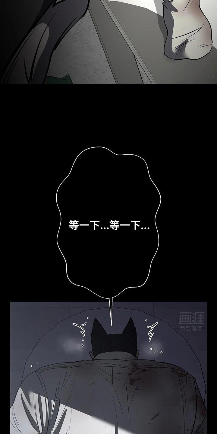 第52章：现在又多了一个