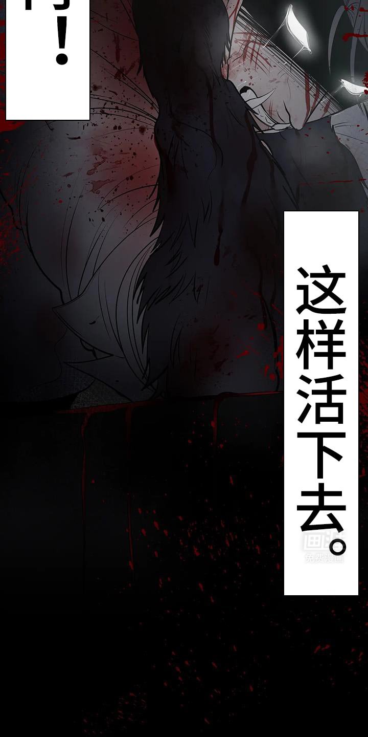 第52章：现在又多了一个