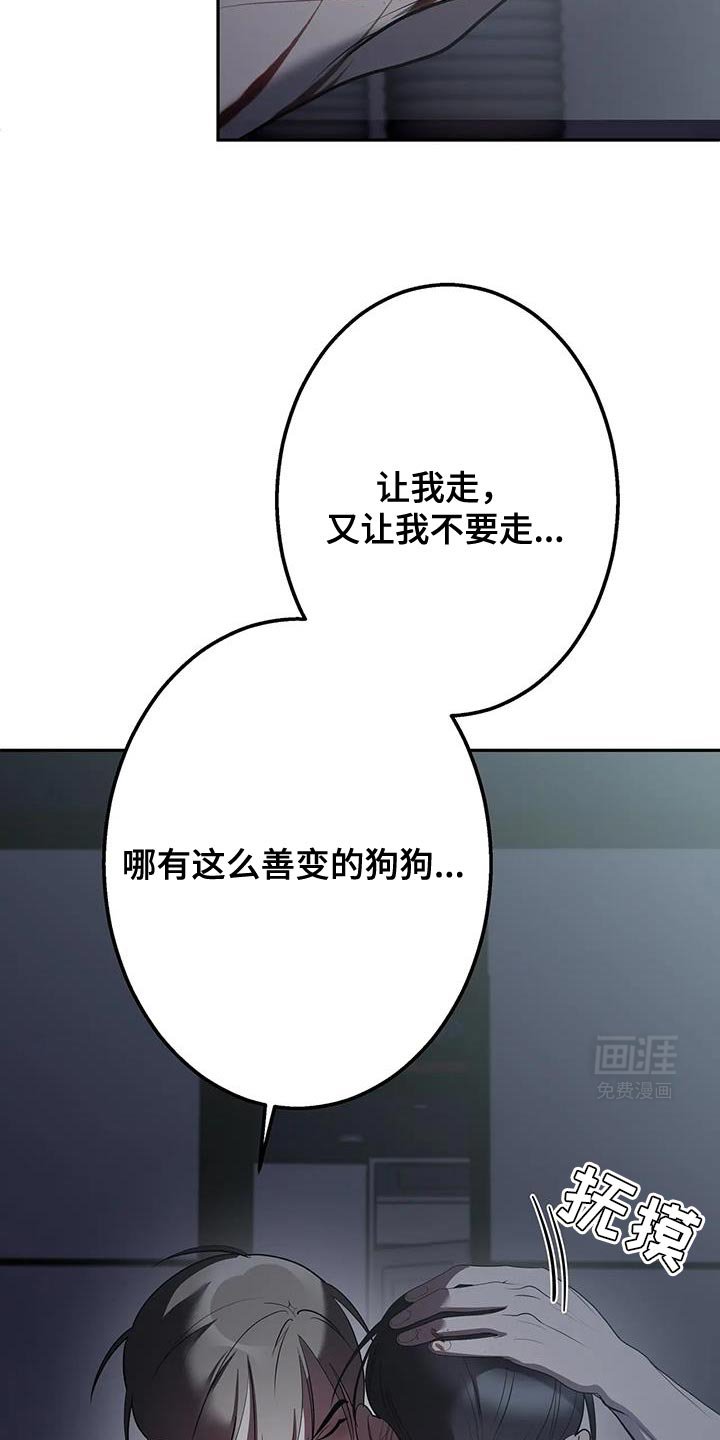 第52章：现在又多了一个